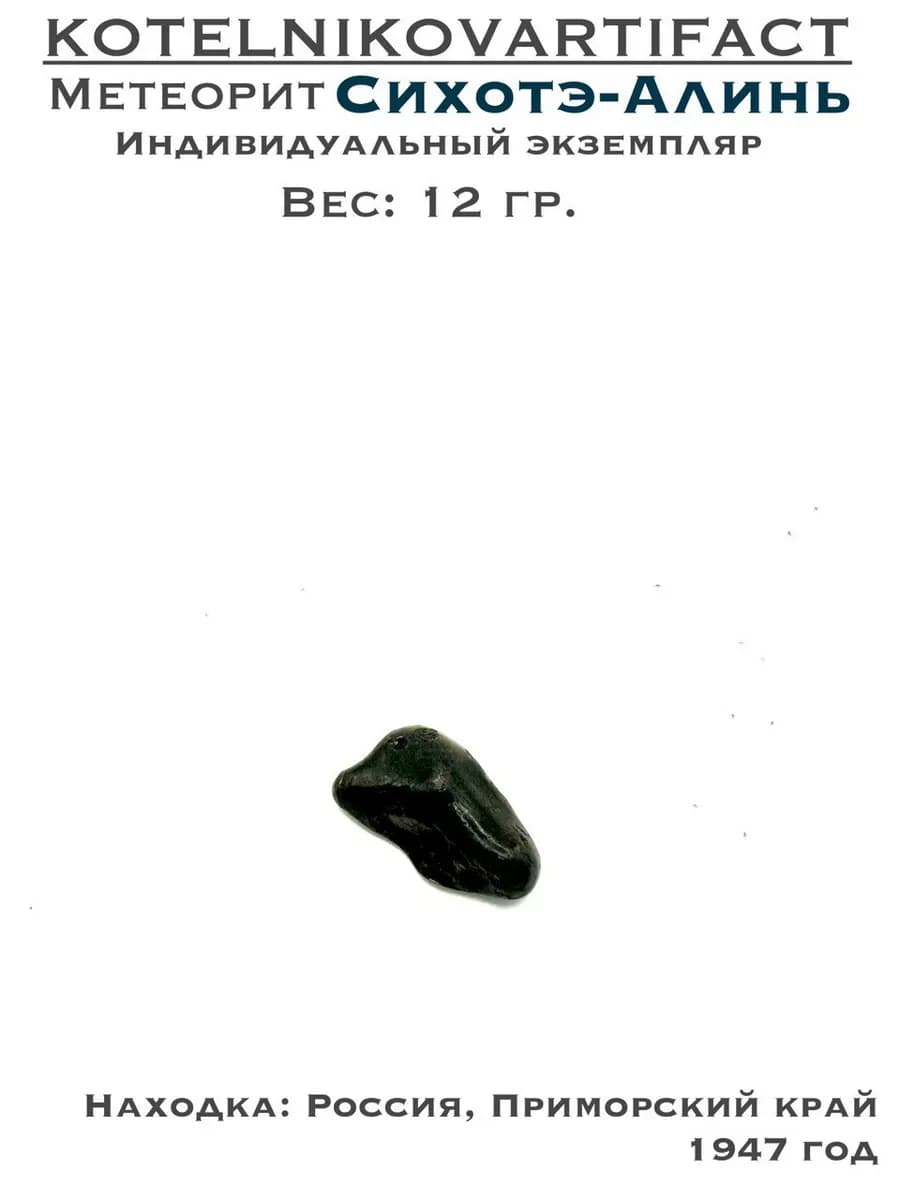 Sikhote-Alin Meteorite — Collector's Piece — photo 1