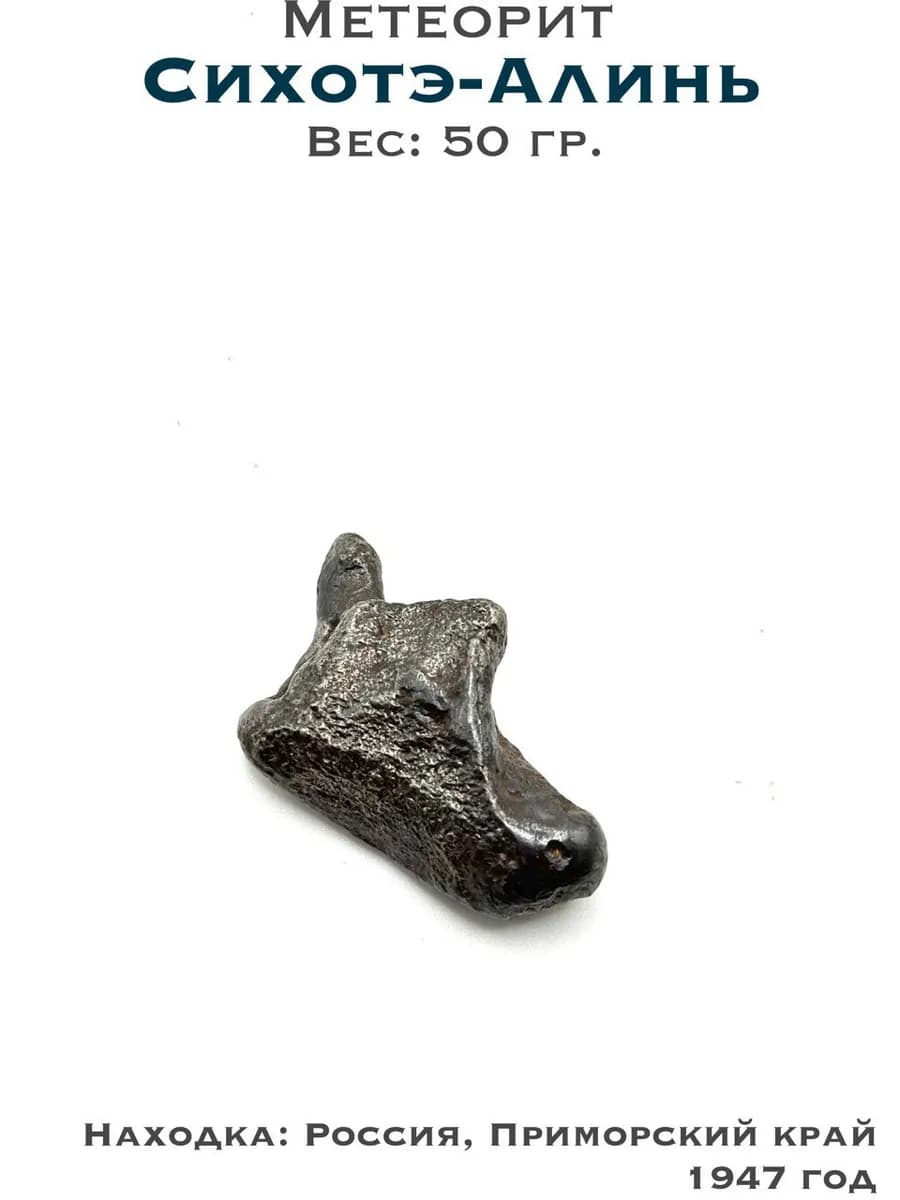 Метеорит Сихотэ-Алинь железный, коллекционный образец №5 — photo 1