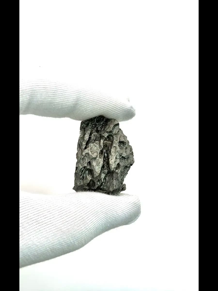 Dronino — Collector's Specimen — photo 5