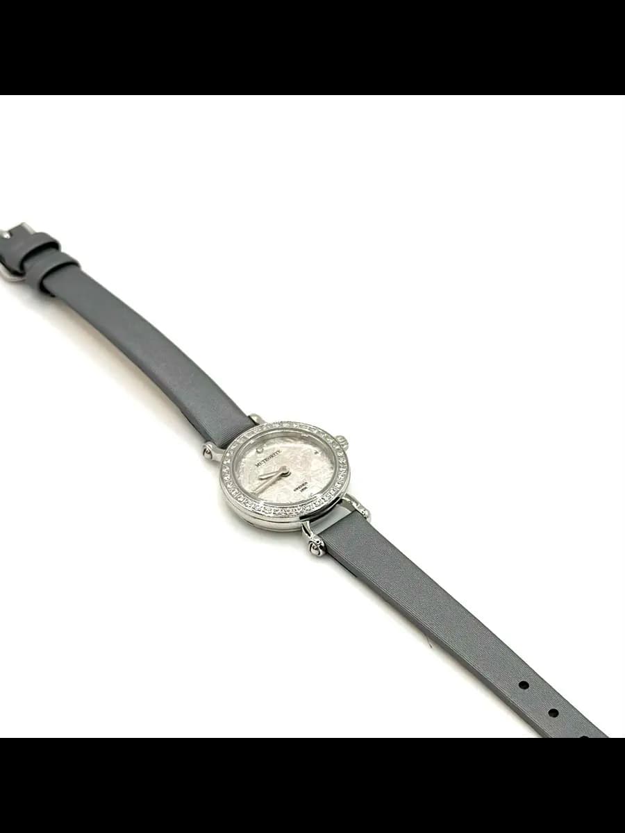 Collector's Watch with Meteorite — photo 4
