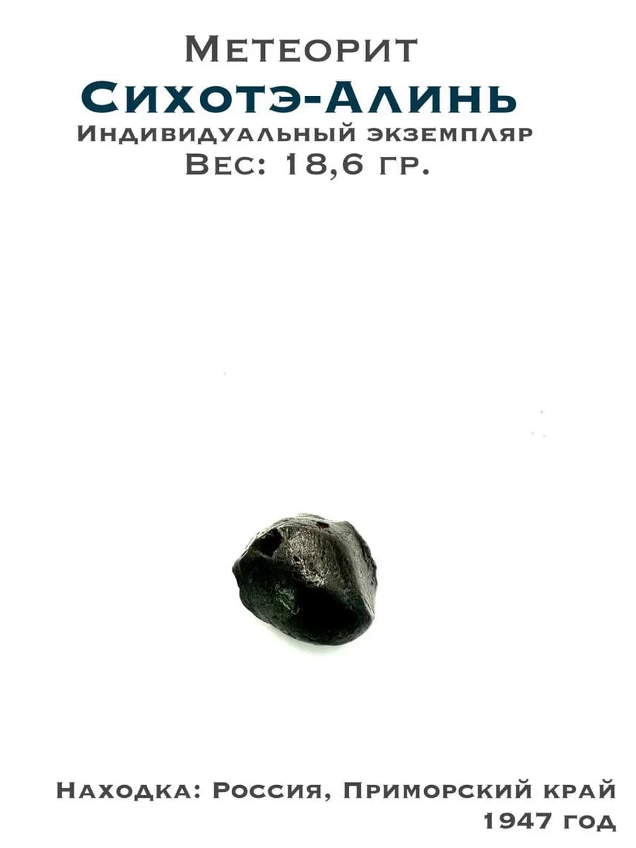 Sikhote-Alin Meteorite — Collector's Specimen — photo 1