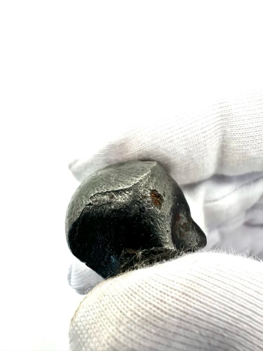 Sikhote-Alin Meteorite — Collector's Specimen — photo 2