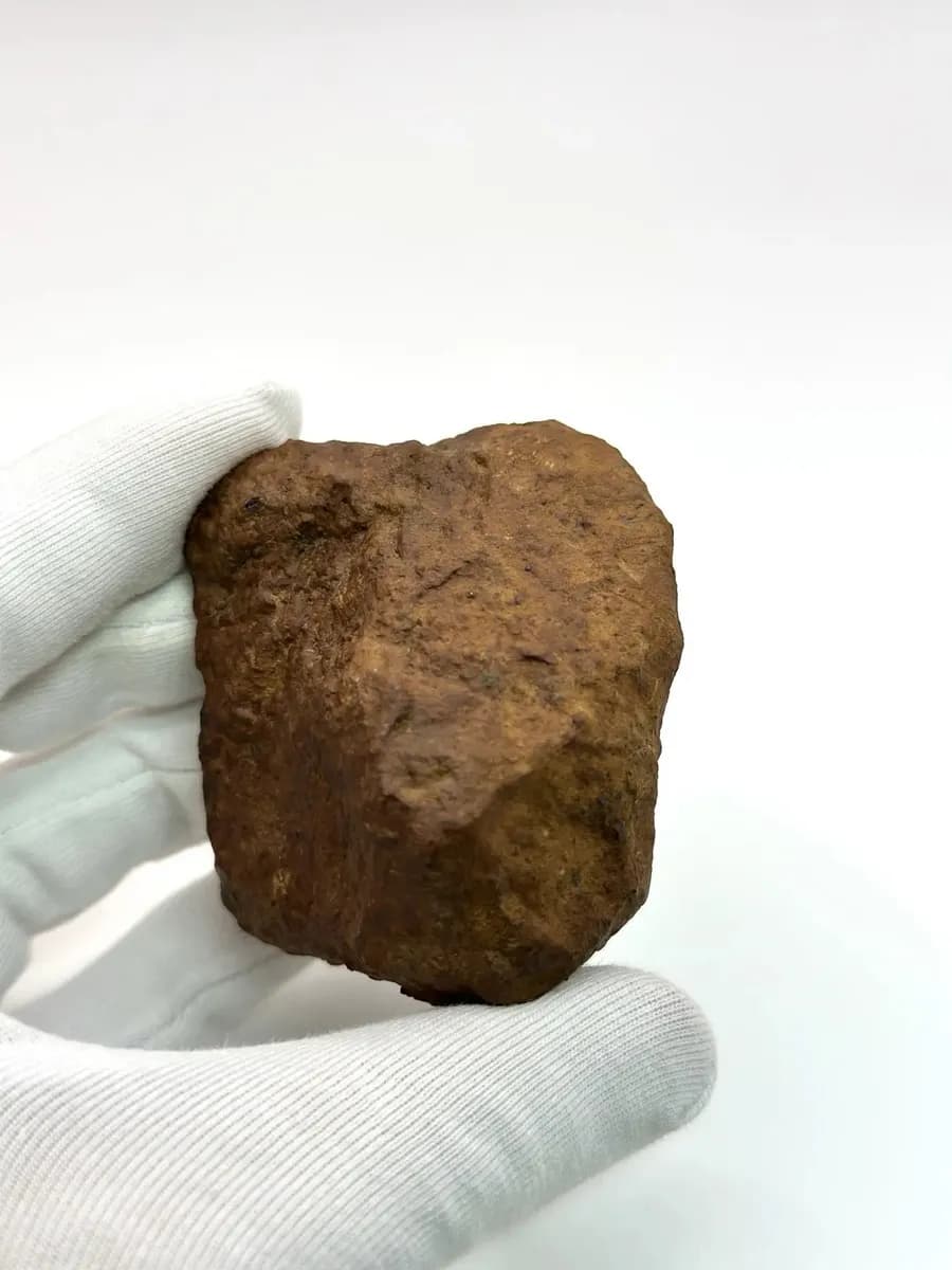 Метеорит Царёв каменный коллекционный образец 253,3 гр. — photo 2