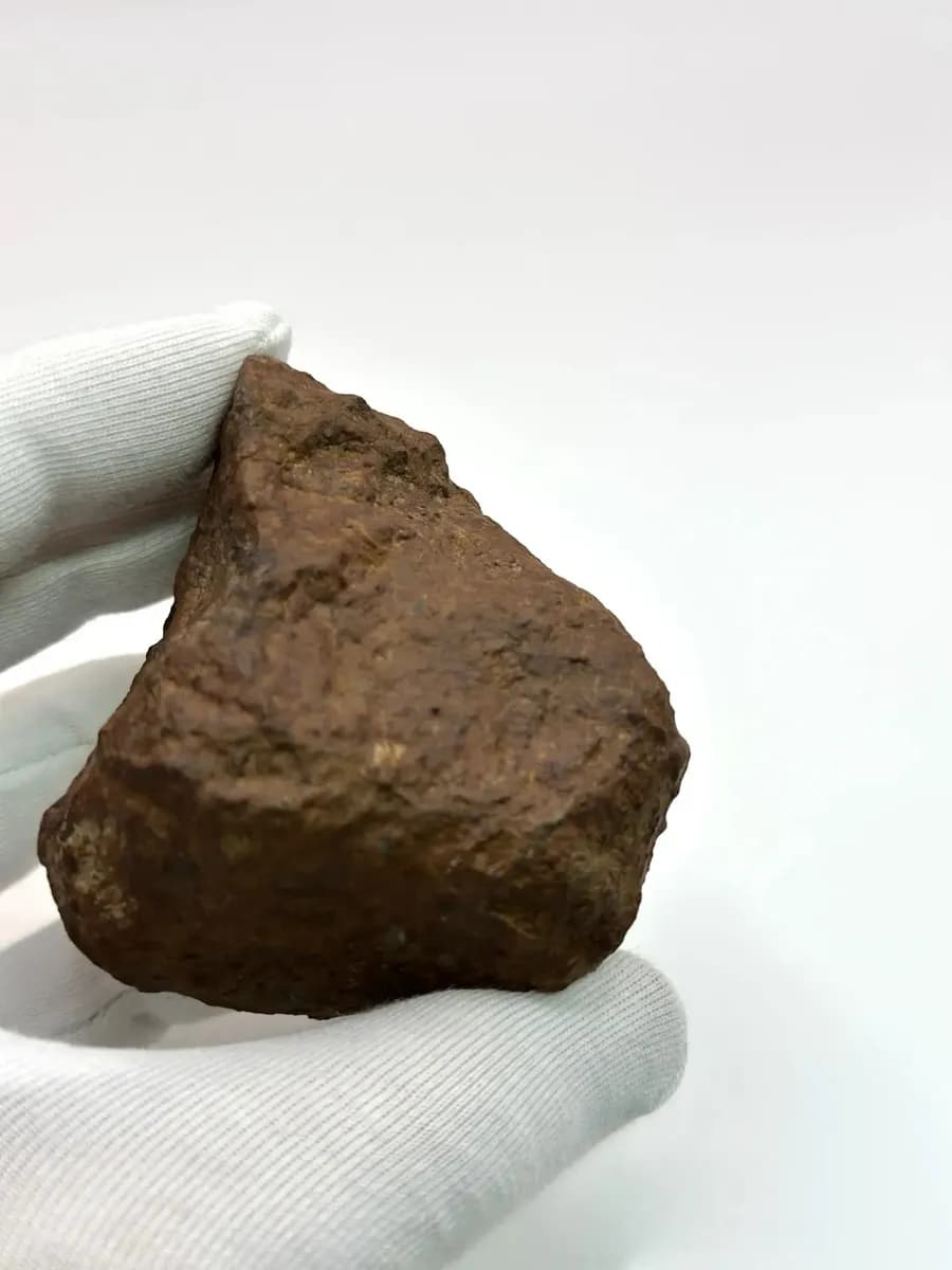 Метеорит Царёв каменный коллекционный образец 253,3 гр. — photo 3